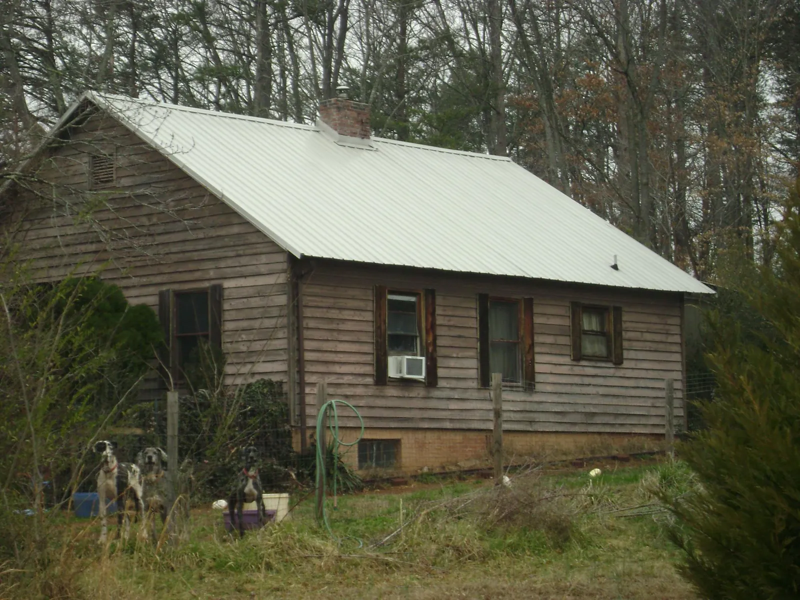 White metal roof on an old wood sided farmhouse, from a Asphalt Shingle Roof Repair job in Cedar Glen